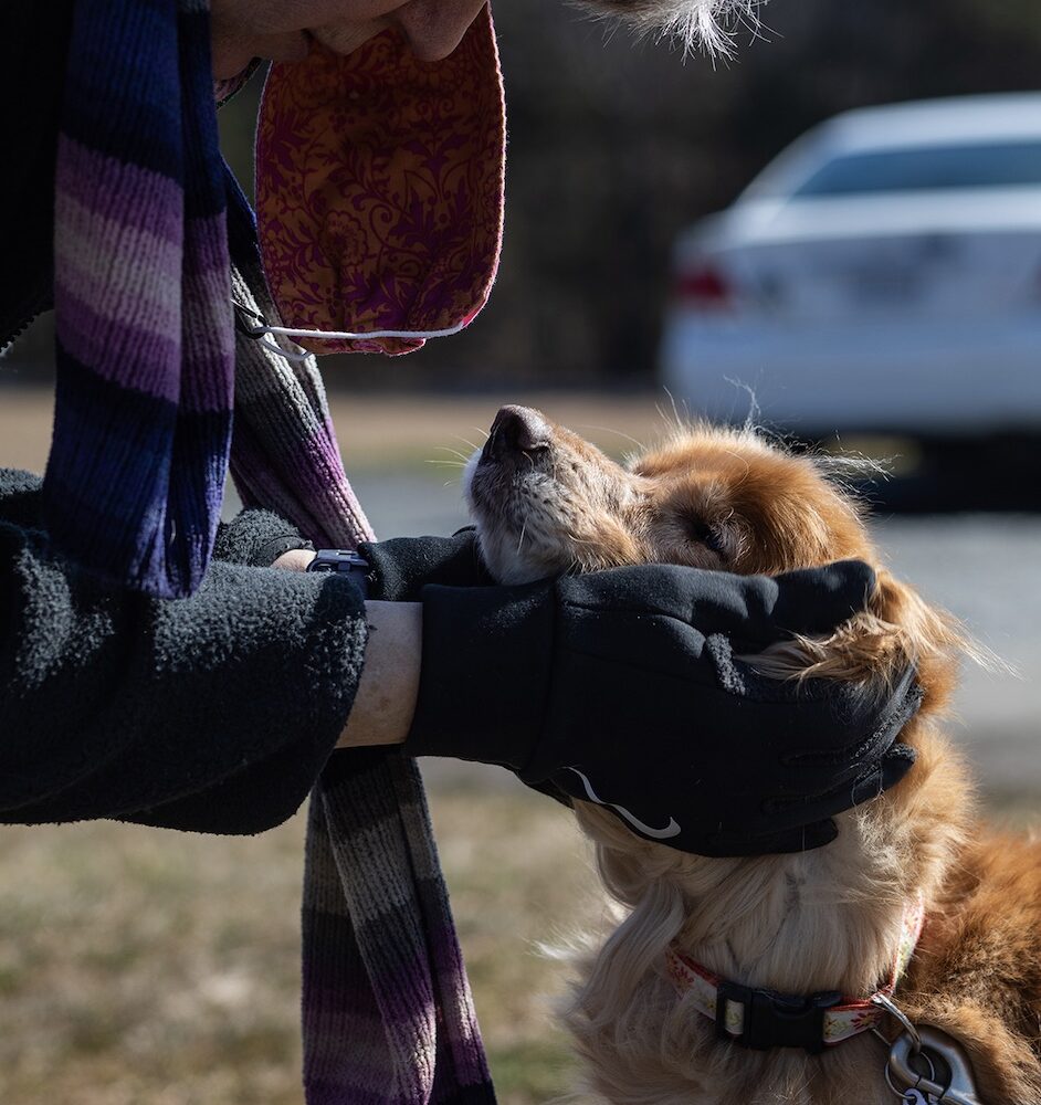Furry friendships