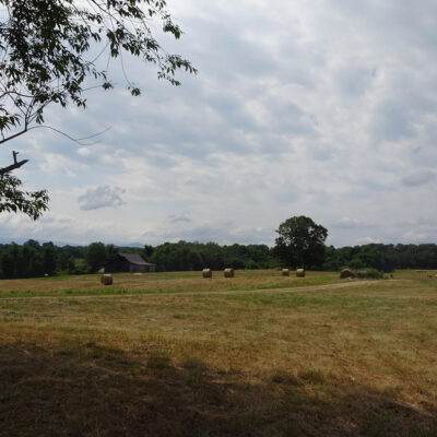 Grassy field located on Panorama Farms on a sunny day with hay bales in the background