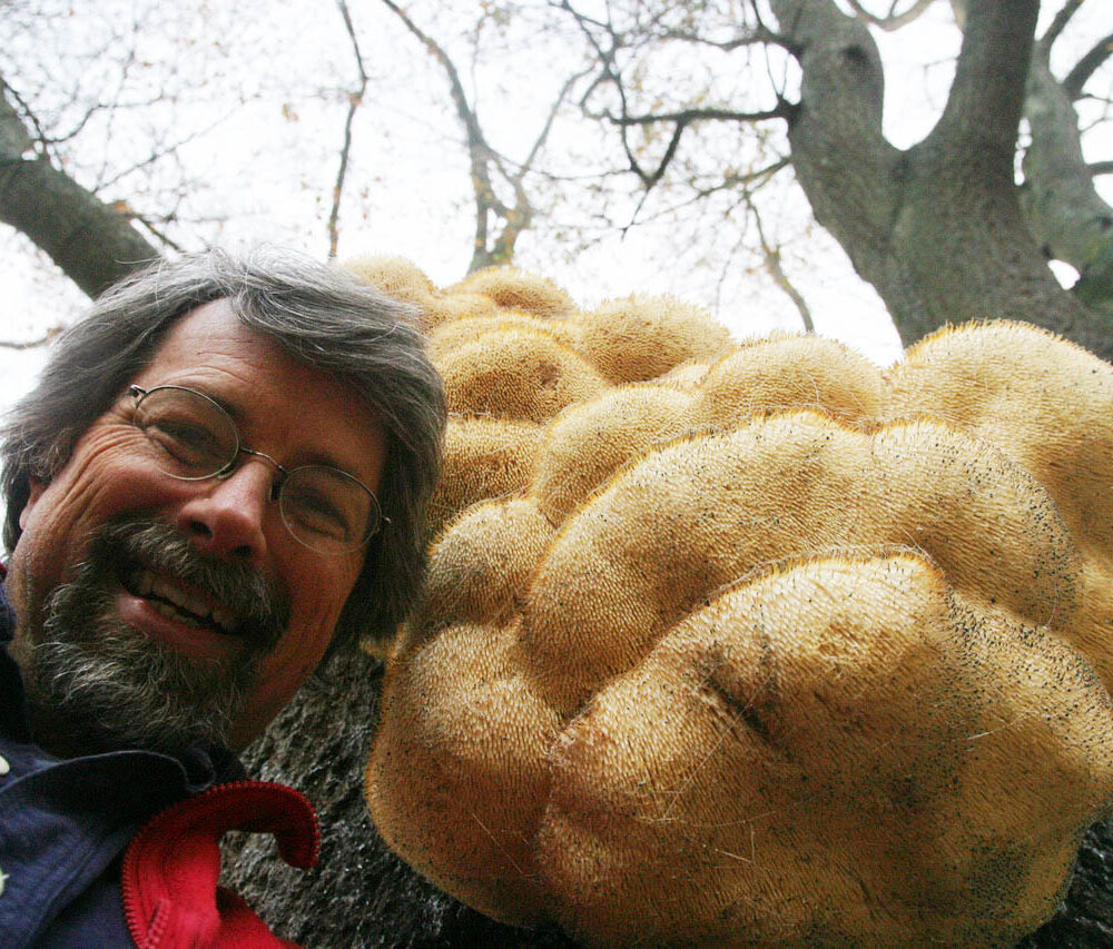 Mushroom for everyone