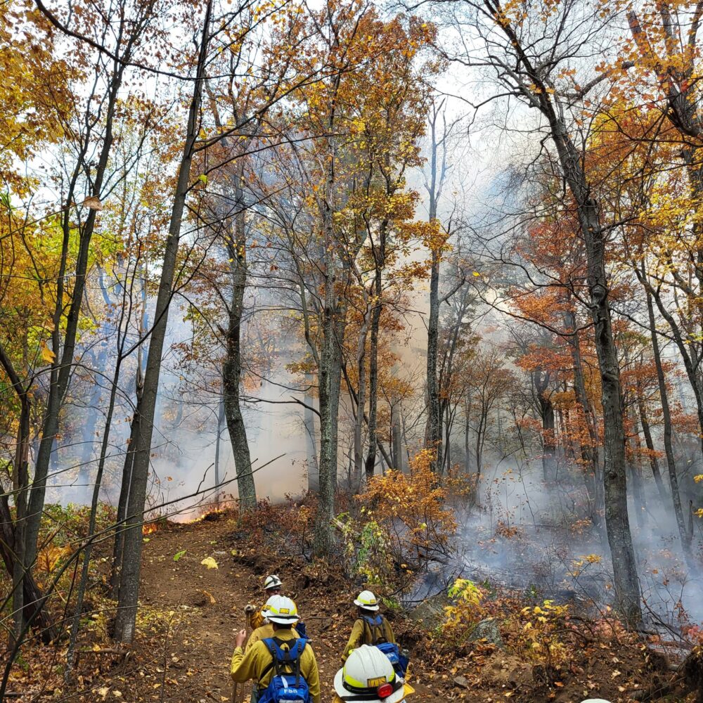 Dousing the fire