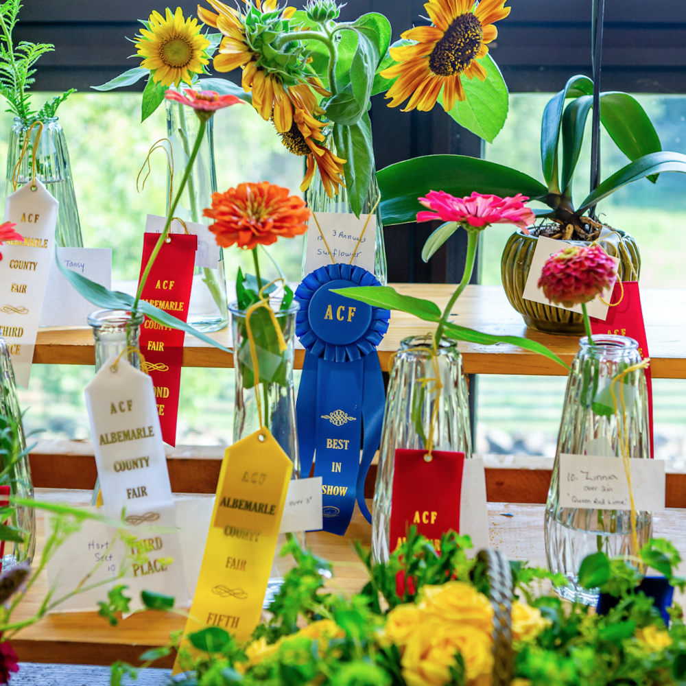 Albemarle County Fair