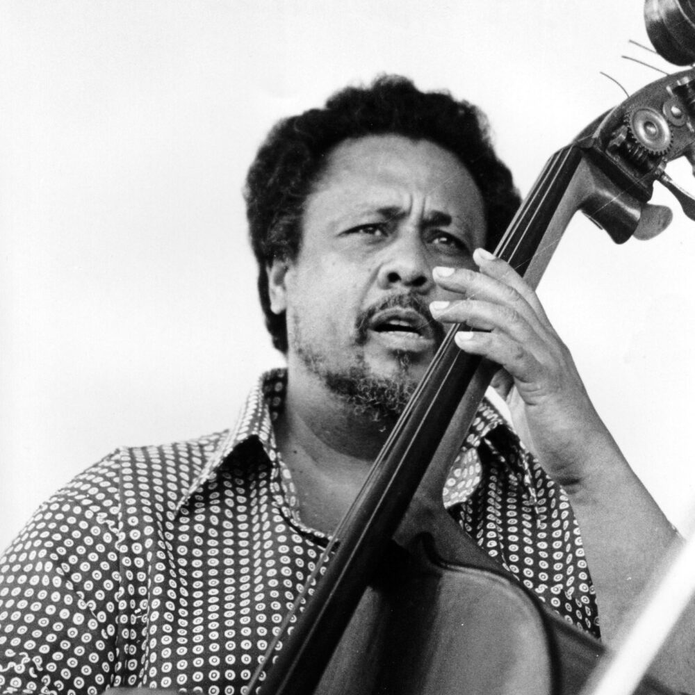 The Mingus Awareness Project