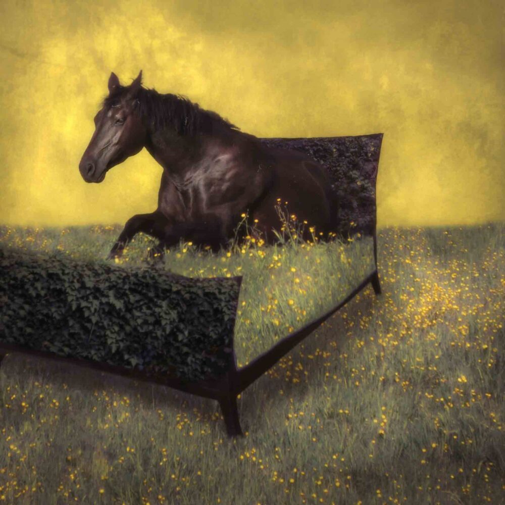 April Exhibitions
