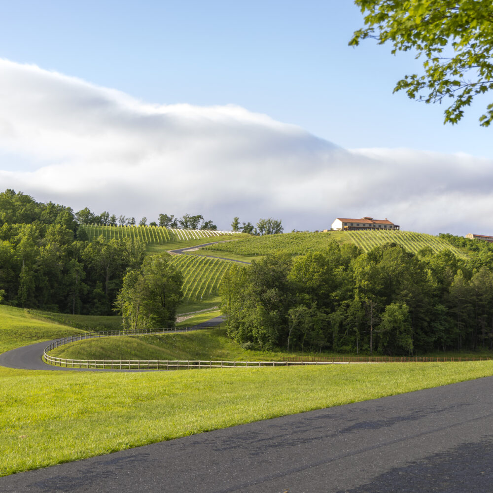 Monticello Wine Week celebrates all things oeno