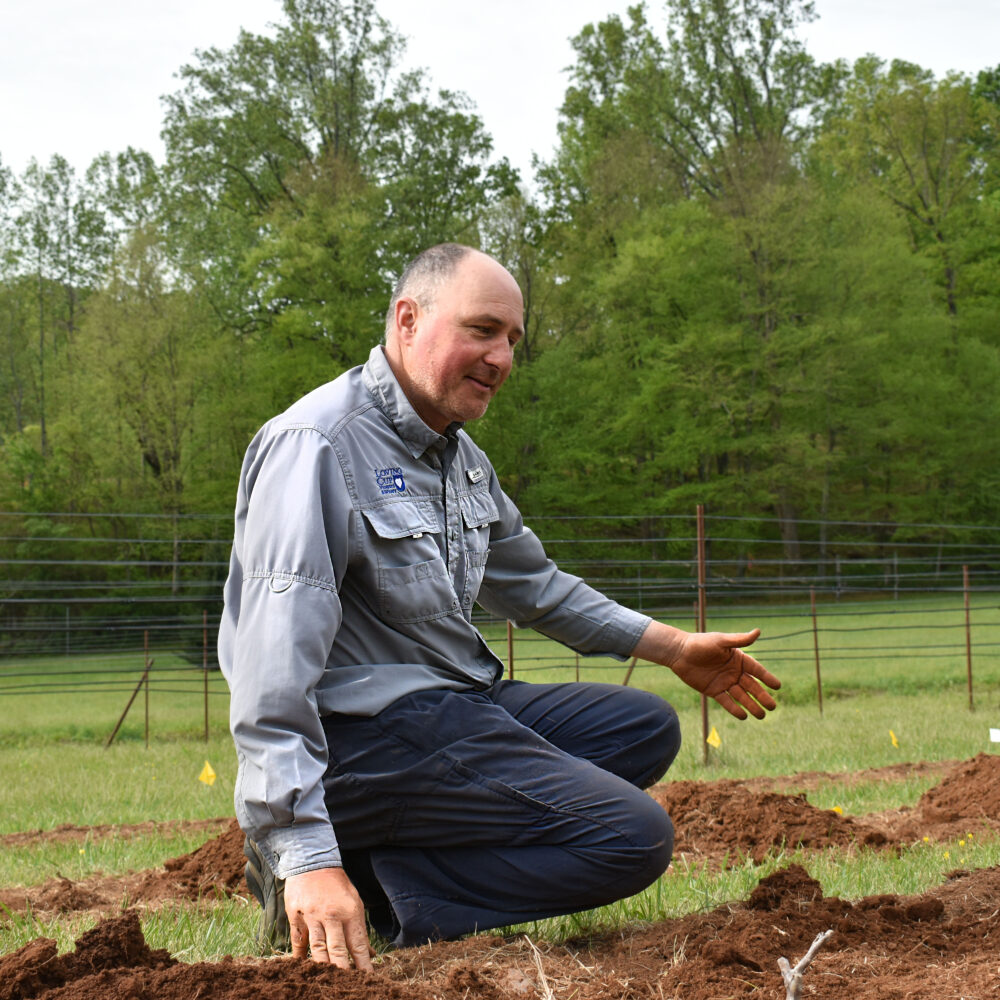 Loving Cup is the only certified-organic winery in Virginia