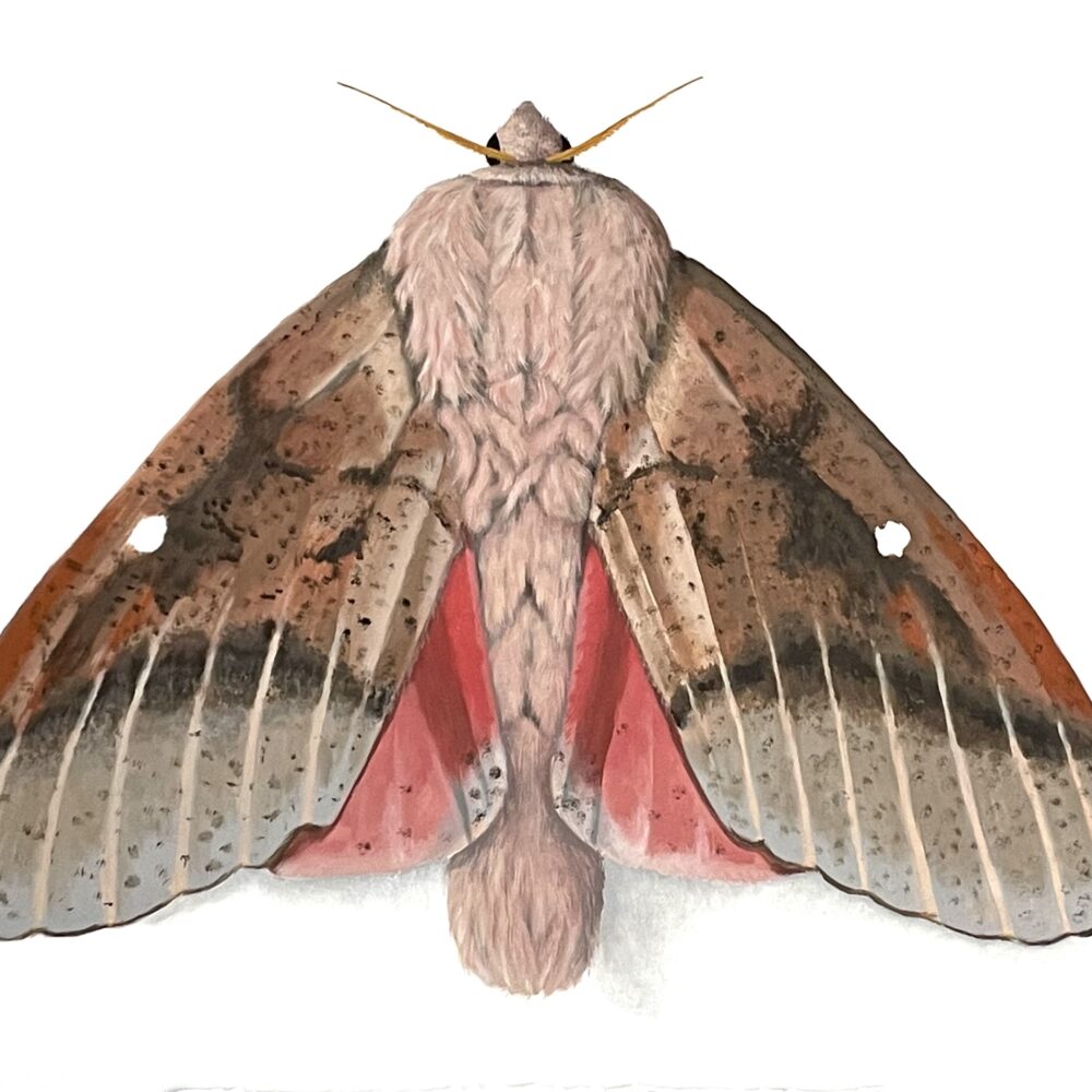 July Exhibitions