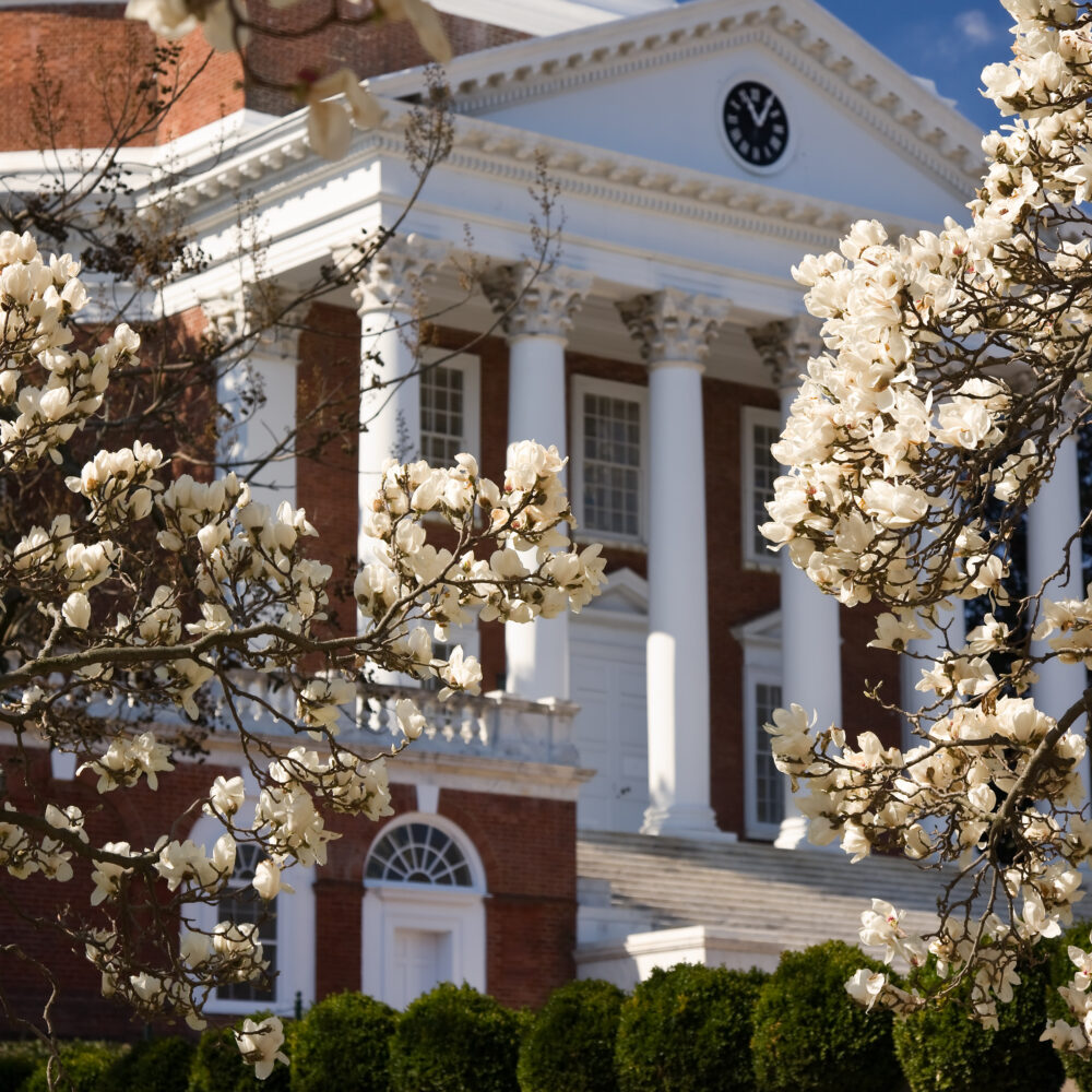 UVA’s international community preps for the upcoming year