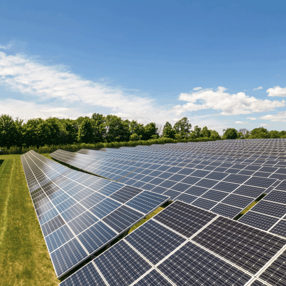 Albemarle Supervisors update regulations on solar panels
