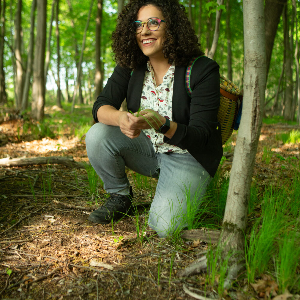 Local Mushroom Auntie writes it down