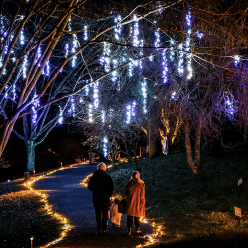 Winter Wander at Boar’s Head Resort through 1/3/26