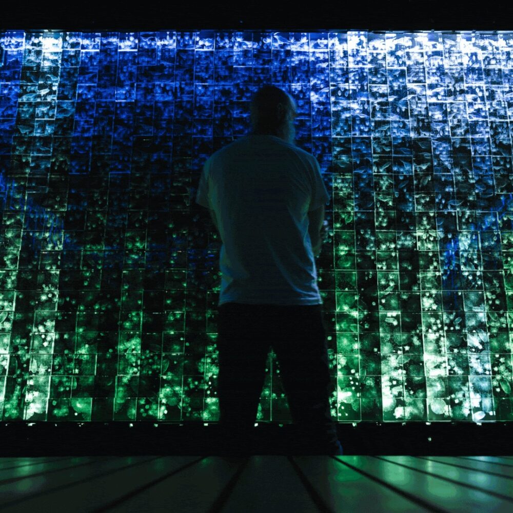 Acclaimed artist Wolfgang Buttress designs a community treasure