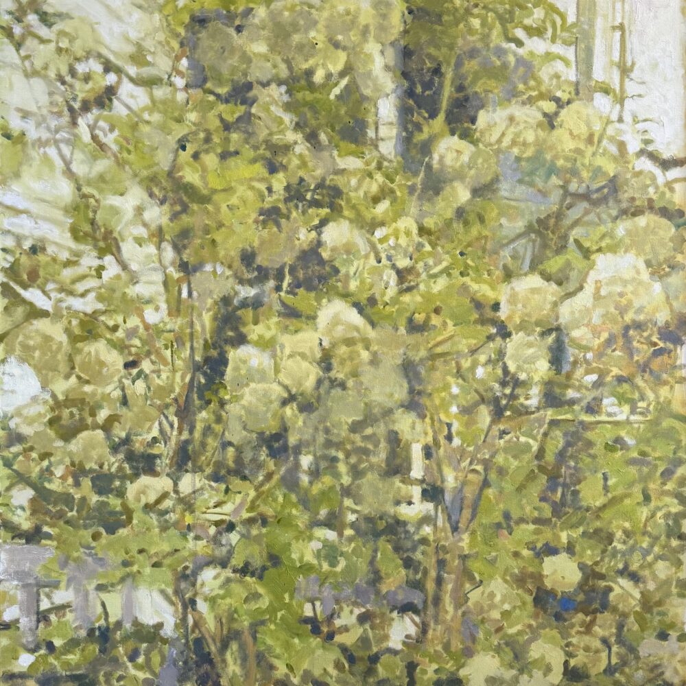 December Exhibitions